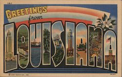 Greetings from Louisiana Postcard