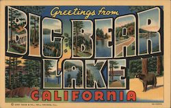 Greetings from Big Bear Lake Postcard