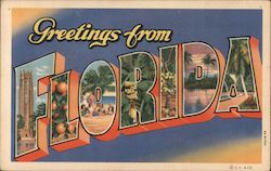 Greetings from Florida Postcard