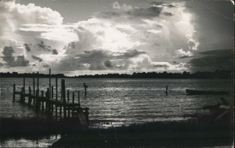 Piers and View of The Ocean Cedar Key Florida