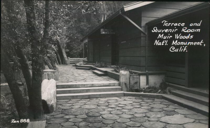 Terrace and Souvenir Room Muir Woods Nat'l Monument Mill Valley California