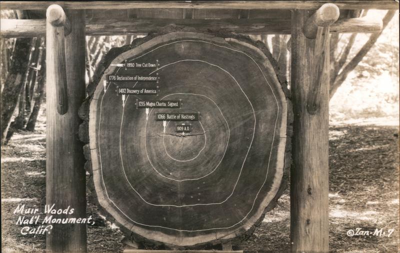 Muir Woods National Monument, California Mill Valley