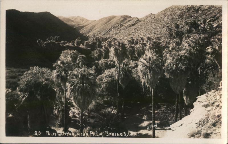 Palm Canyon Palm Springs California Willard