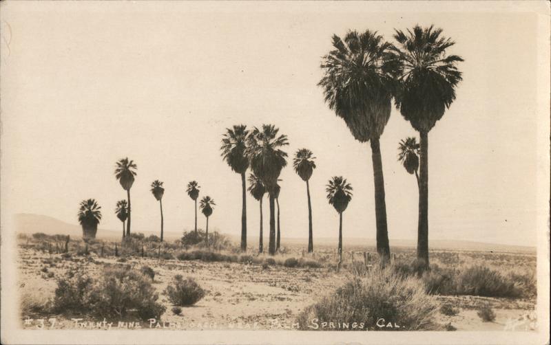 Twenty-Nine Palms Palm Springs California Willard
