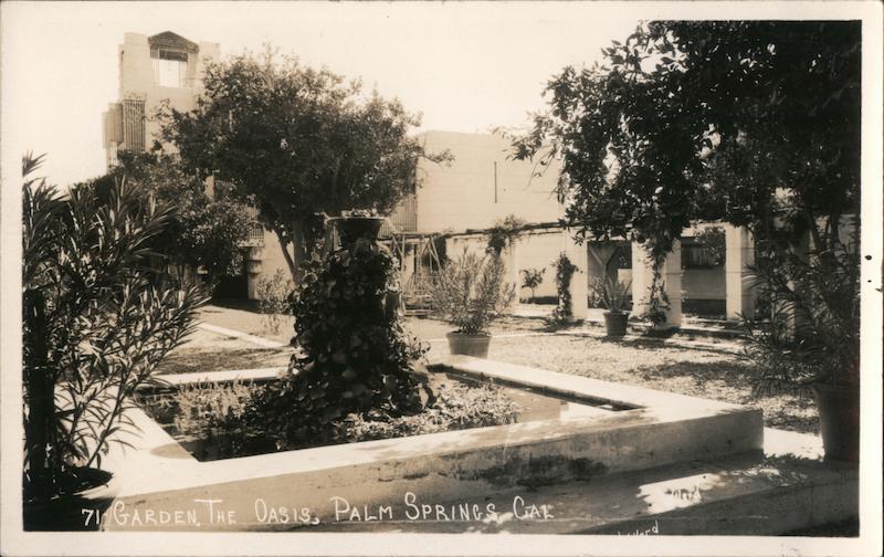 Garden at The Oasis Palm Springs California Willard