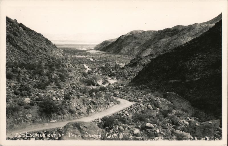 Looking Out of Palm Canyon Palm Springs California