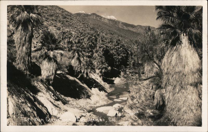 Palm Canyon near Palm Springs California Willard