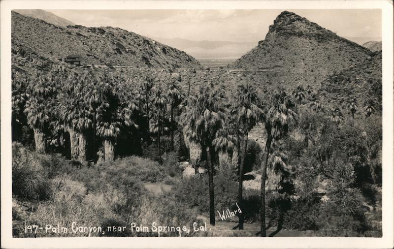 Palm Canyon Near Palm Springs Indio California Willard