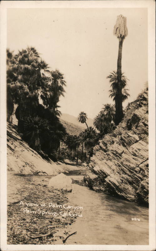 A View of Palm Canyon Palm Springs California Willard