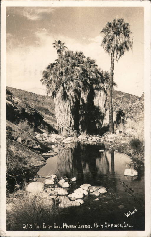 213 The Fairy Pool, Murray Canyon, Palm Springs, Cal. California