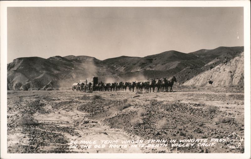 20 Mule Team Wagon Train in Wingate Pass on the Old Route to Death Valley, California