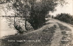 Scene on River Bank Postcard