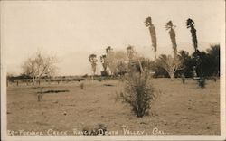 20-Furnace Creek Ranch, Death Valley, Cal. Postcard