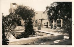 Garden at The Oasis Postcard