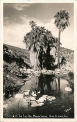 The Fairy Pool, Murray Canyon Postcard