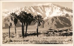 Mt. San Jacinto From Seven Palms Near Palm Springs Postcard