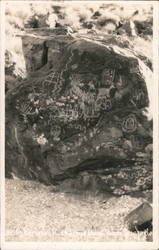 Native Pictured Rocks Postcard