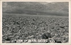 Floor of Death Valley Postcard