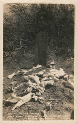 Victim of the Desert near Stove Pipe Wells Postcard