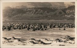 Devil's Corn Field Postcard