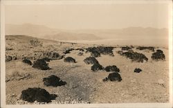 In South Death Valley Postcard