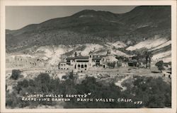 Scotty's Castle and Grapevine Canyon Postcard