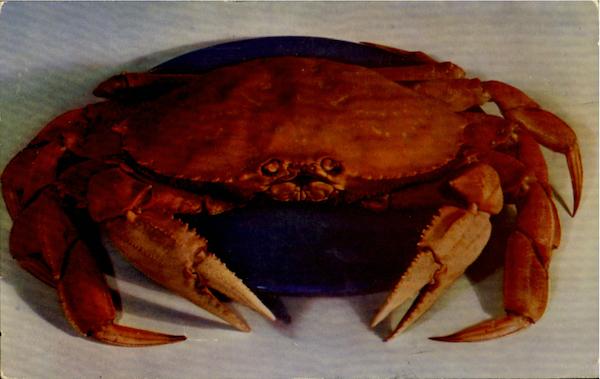 Jumbo Humhboldt Crab, Highway 101 ( North End Of Town ) In Eureka Of 4th And T Streets California