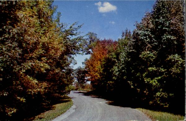 Greeting From Morris New York