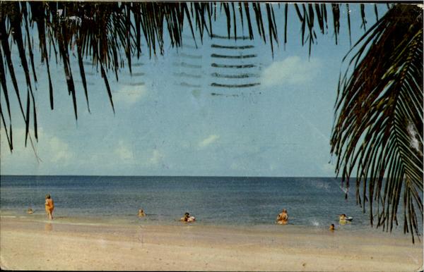 White Sandy Beach Of Lowdermilk Park Naples Florida