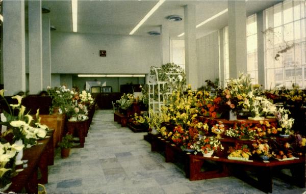 Santa Rosa Flower Show California