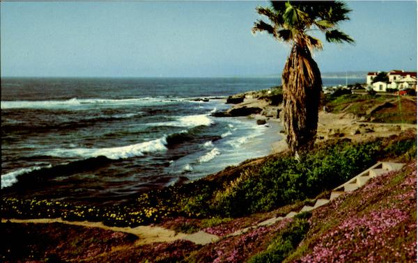 Along The Shore At Beautiful La Jolla California