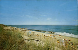 National Seashore Cape Cod, MA Postcard Postcard