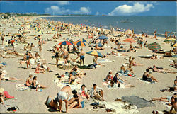 Cape Cod Beach Scene Postcard