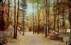 Enchanted Forest Old Forge, NY Amusement Parks Postcard Postcard