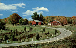 Greeting From Mineville Postcard