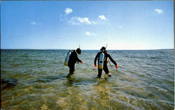 Skin Divers Postcard