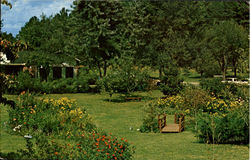 Pete Smith'S Watts-Bar Resort Postcard