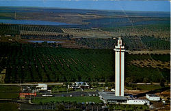 Aerial View Citrus Tower Clermont, FL Postcard Postcard