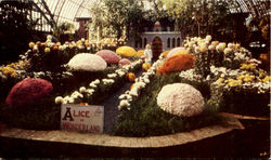 Azalea Garden - spring flower show, Phipps Conservetory Postcard