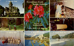 Greetings From Eureka, California Postcard Postcard