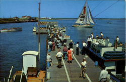 Inlet Pier Postcard