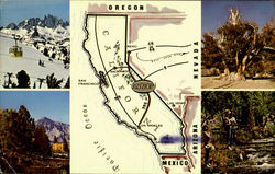 See California Via Scenic U.S.395 Postcard