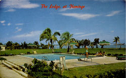 Flamingo Lodge Everglades National Park Postcard Postcard