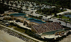 Air View Of Marineland Of Florida Amusement Parks Postcard Postcard