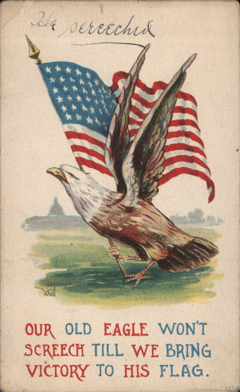 Our Old Eagle Won't Screech Till We Bring Victory To His Flag