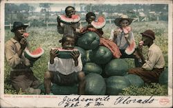African American Young Men and One White Young Man Eating Watermelon Postcard