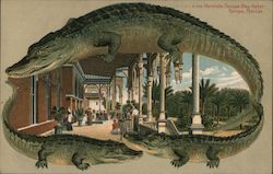 Alligator Border S576 Veranda Tampa Bay Hotel Postcard