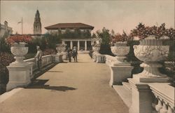 In the Botanical Gardens Postcard