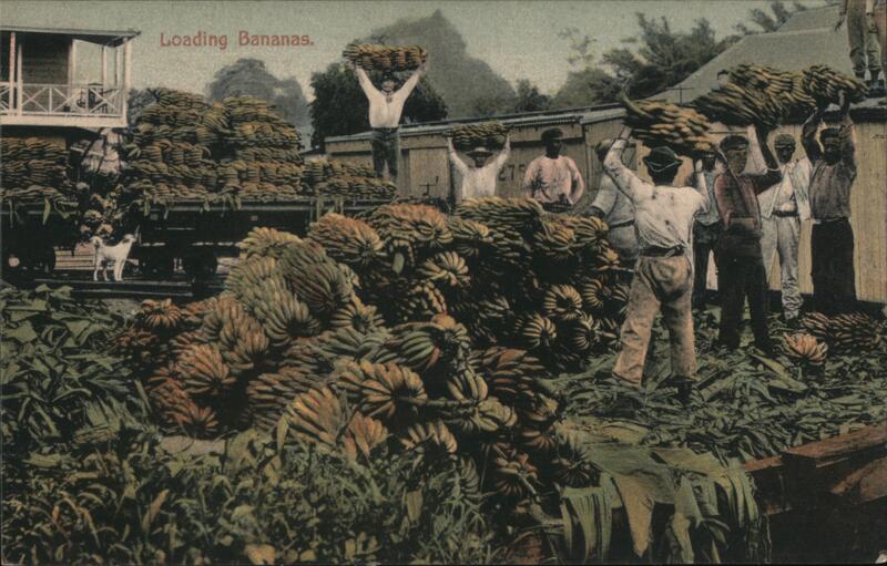 Loading Bananas Panama