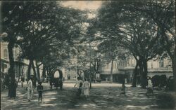 York Street looking towards the jetty Postcard